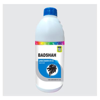 Badshah